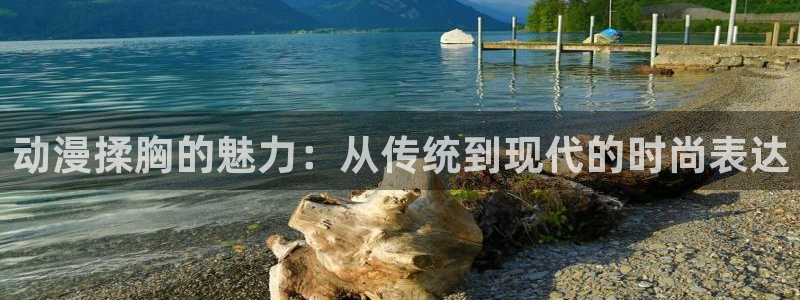 天堂动漫免费网站入口