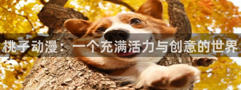 动漫天堂下载最新版