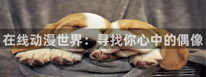 天堂动漫官方正版入口怎么下载