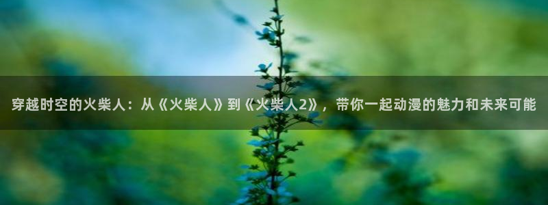 妹妹的天堂动漫：穿越时空的火柴人：从《火柴人》到《火柴人2》，带你一起动漫的魅力和未来可能